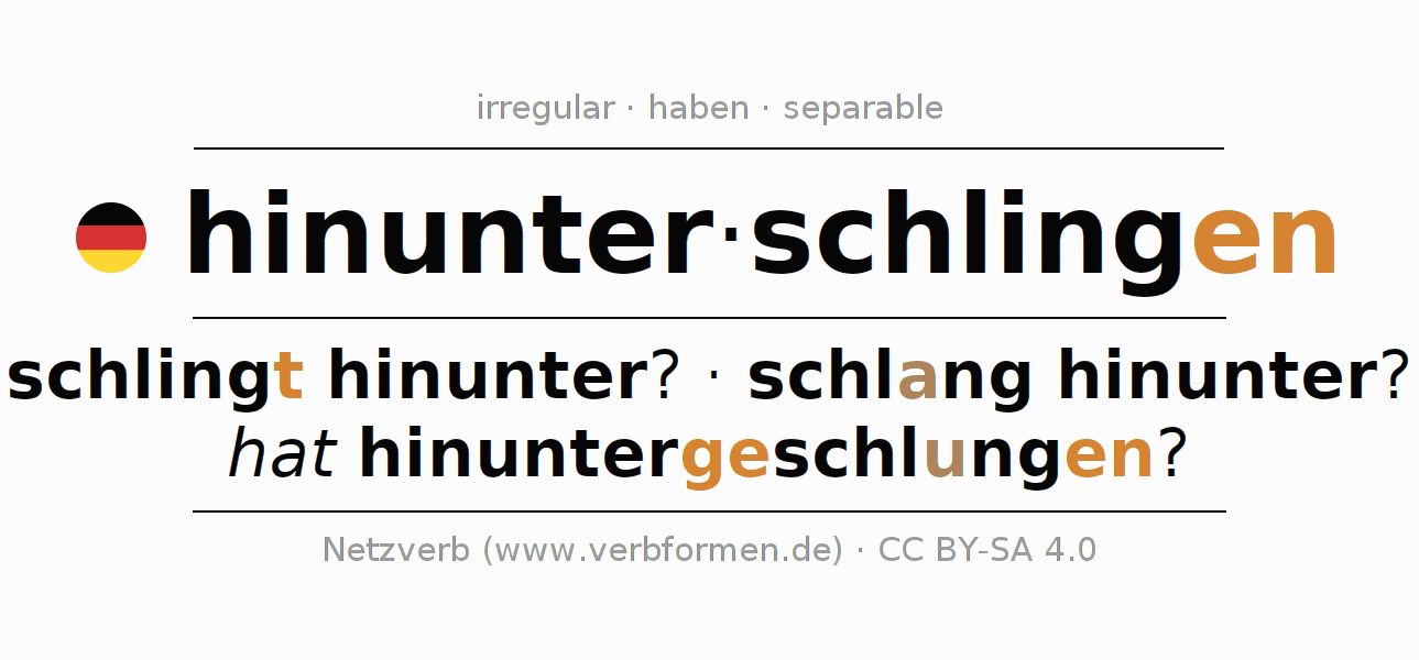 Conjugation of German verb hinunterschlingen