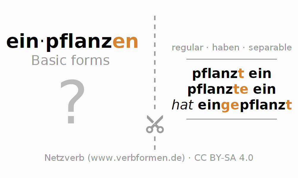 Flash cards for  conjugation of German verb einpflanzen