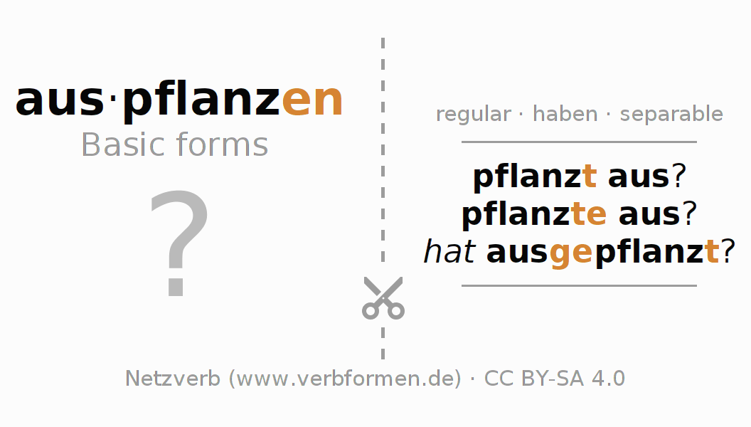 Flash cards for  conjugation of German verb auspflanzen