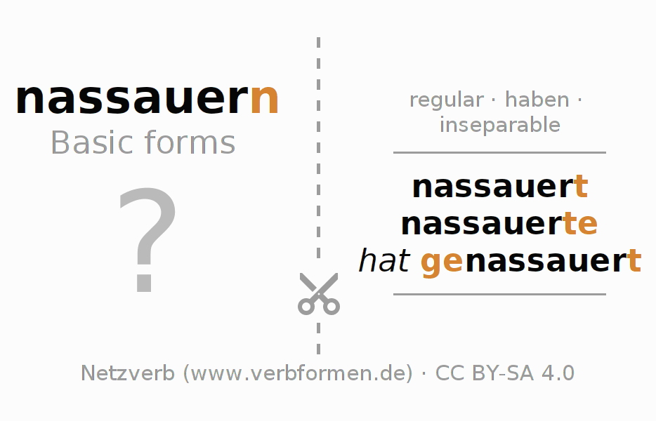 Flash cards for  conjugation of German verb nassauern