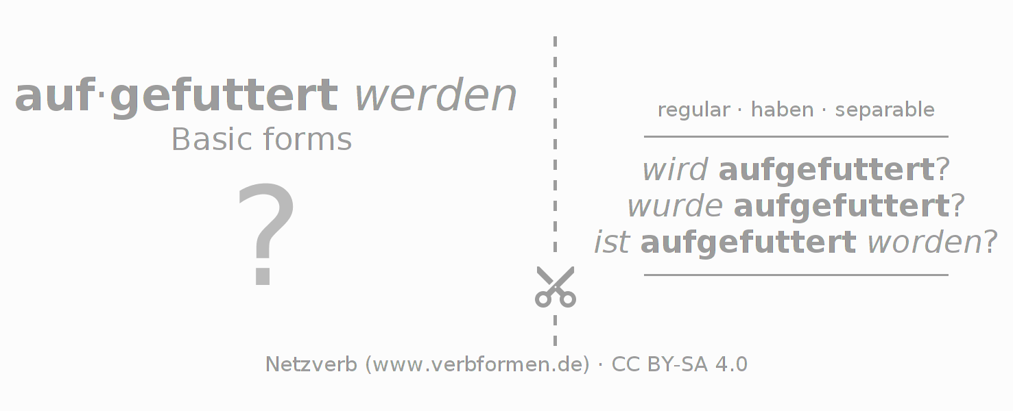 Flash cards for  conjugation of German verb auffuttern