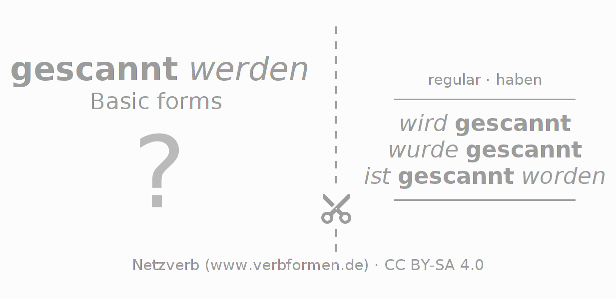Flash cards for  conjugation of German verb scannen