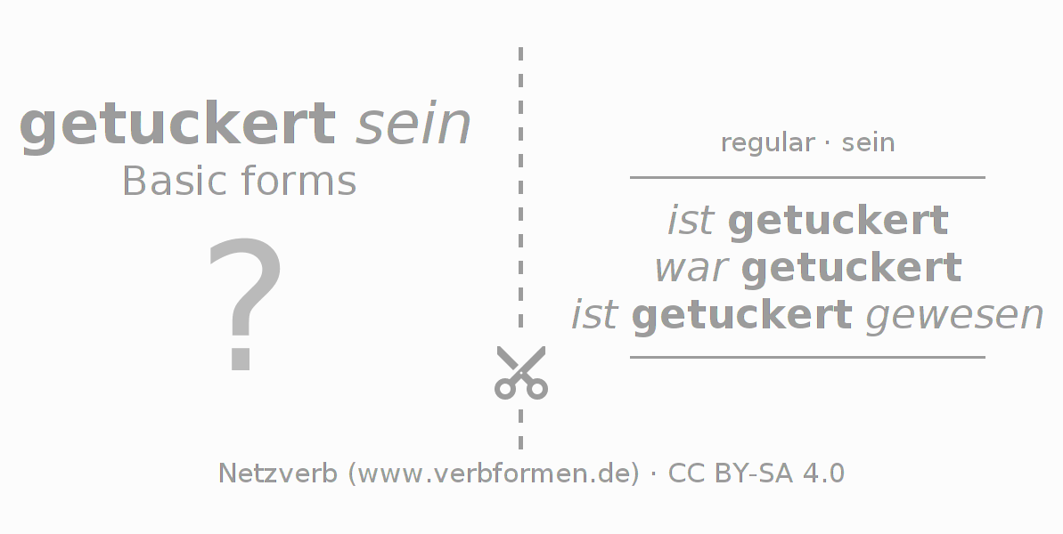 Flash cards for  conjugation of German verb tuckern (ist)