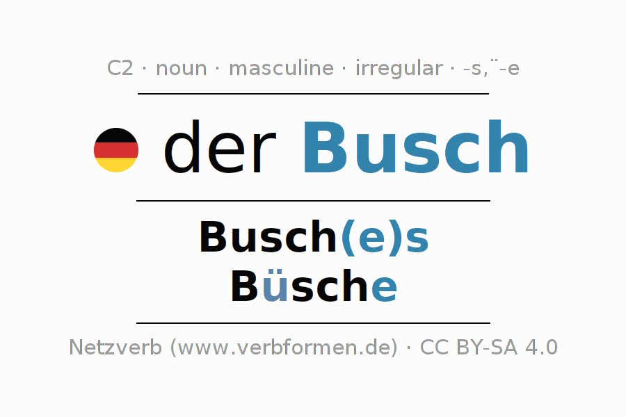 Declension German "Busch" All cases of the noun, plural, article