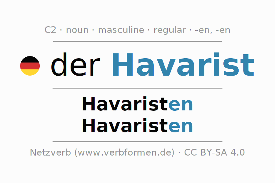 Declension German "Havarist" All cases of the noun, plural, article