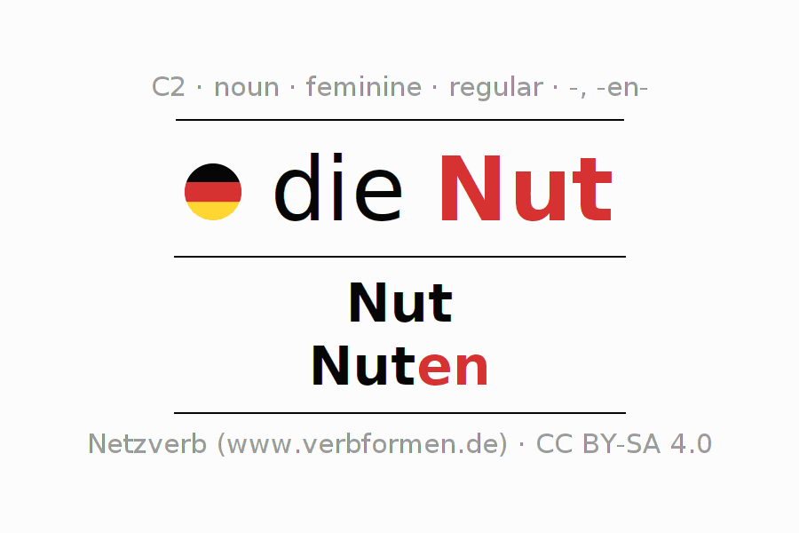 Declension German "Nut" All cases of the noun, plural, article
