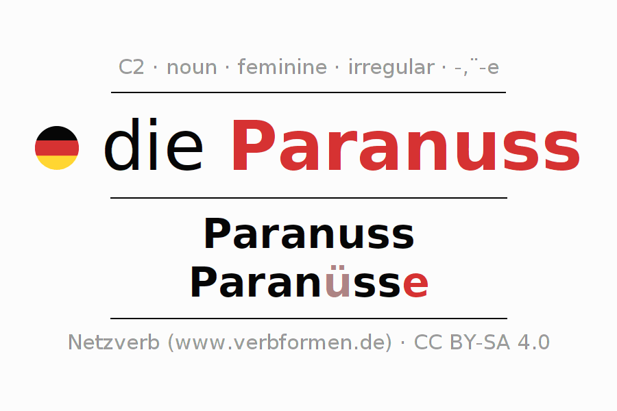 Declension German "Paranuss" All cases of the noun, plural, article