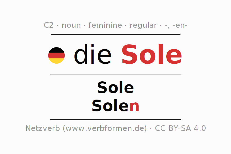 Declension German "Sole" All cases of the noun, plural, article Netzverb Dictionary