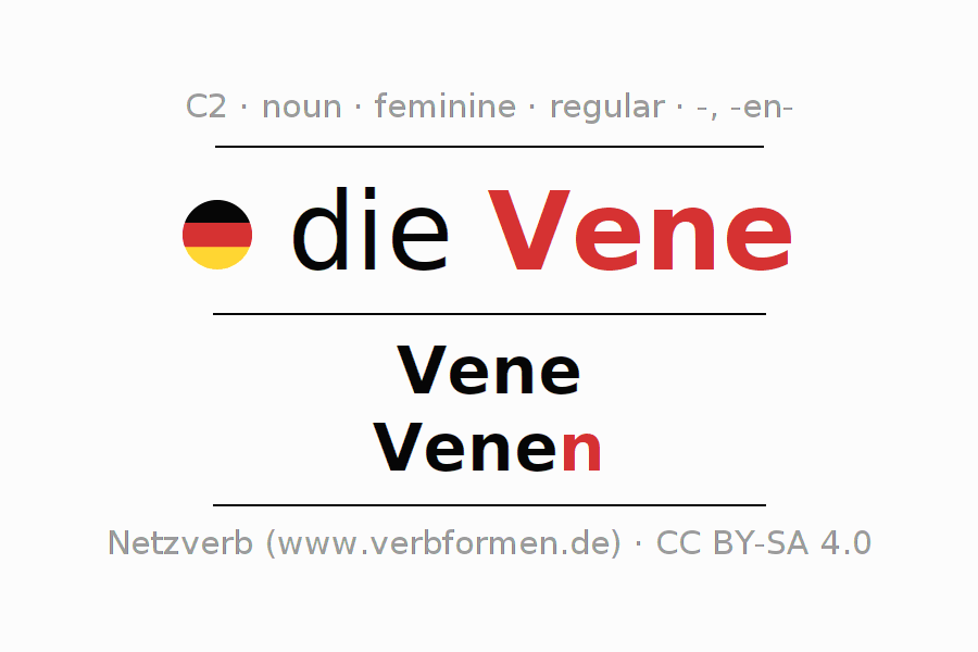 Declension German "Vene" All cases of the noun, plural, article
